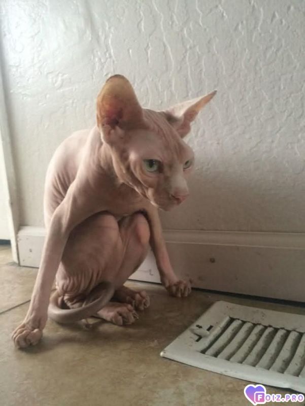 Включите отопление