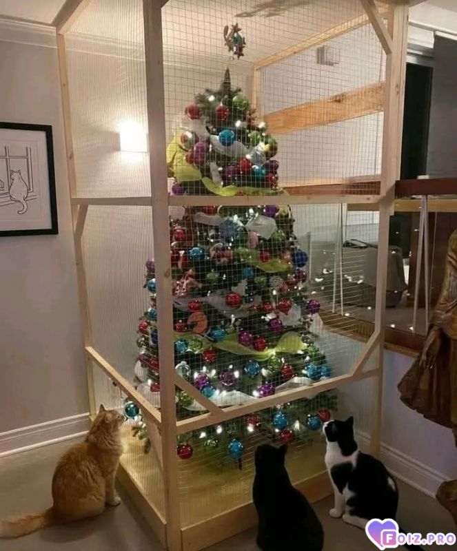 С наступающим