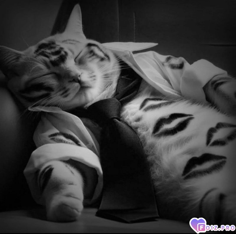 Настоящий мачо