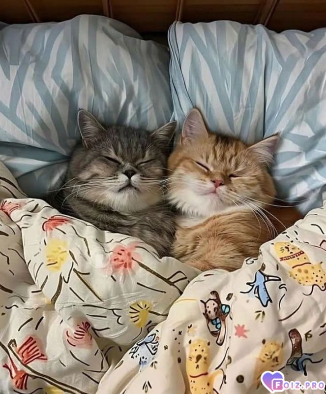 Как хочется жить