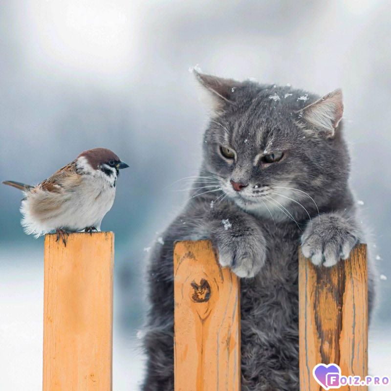 Ну как вы там