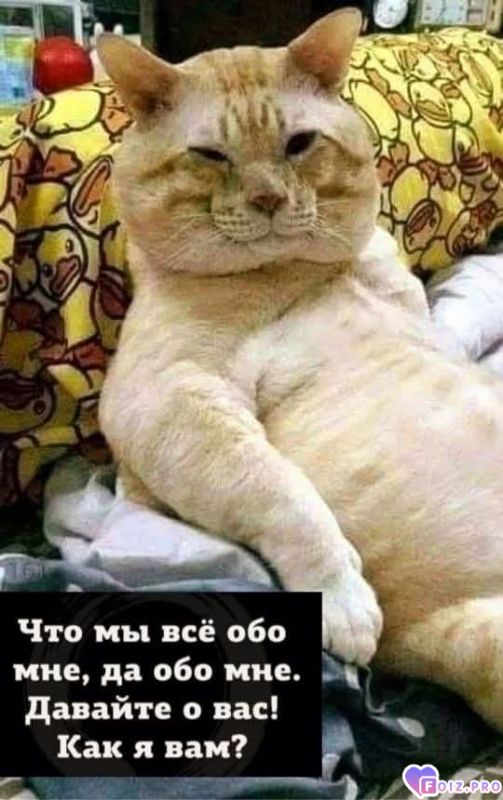 Надеюсь многие узнают себя