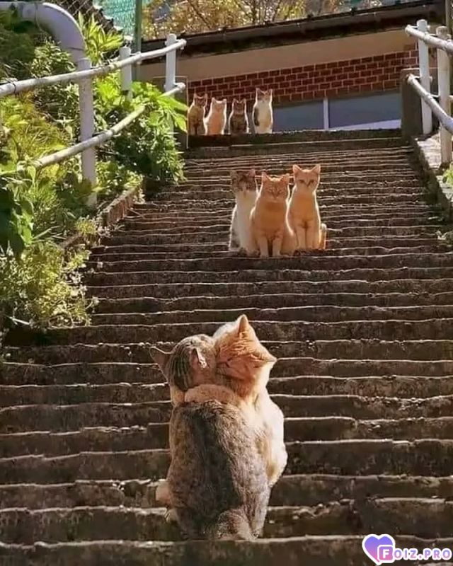 Придумайте название