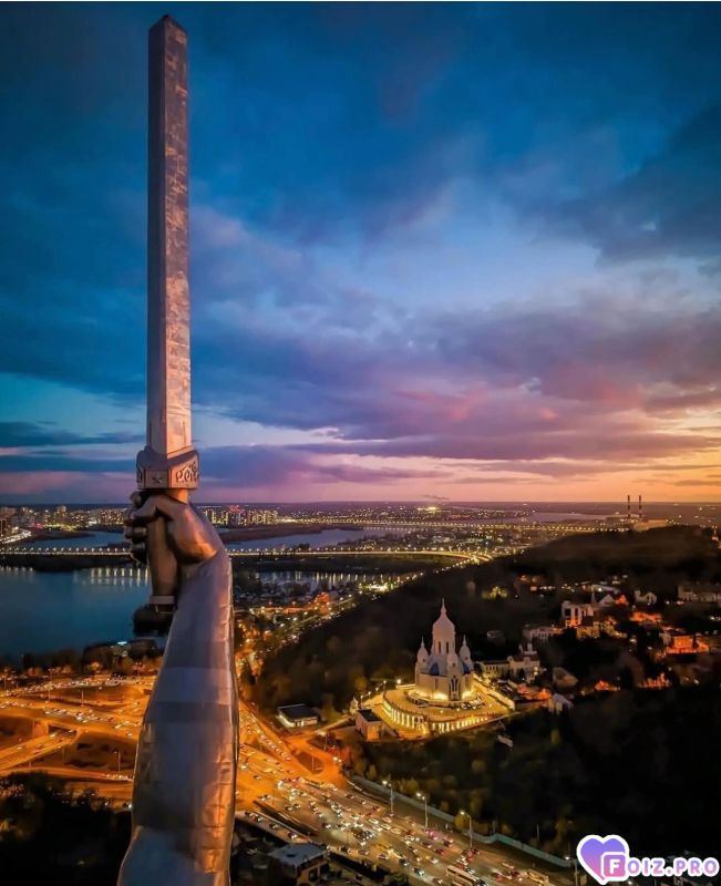 Полёта птицы