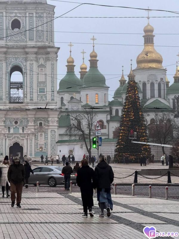 На Софиевке елка