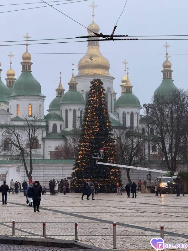 На Софиевке елка