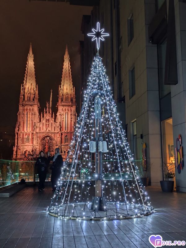 В. Васильківська