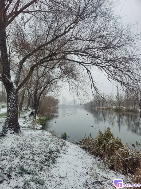 Вербеное озеро