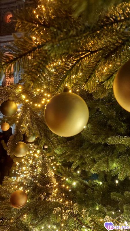 Софиевская площадь