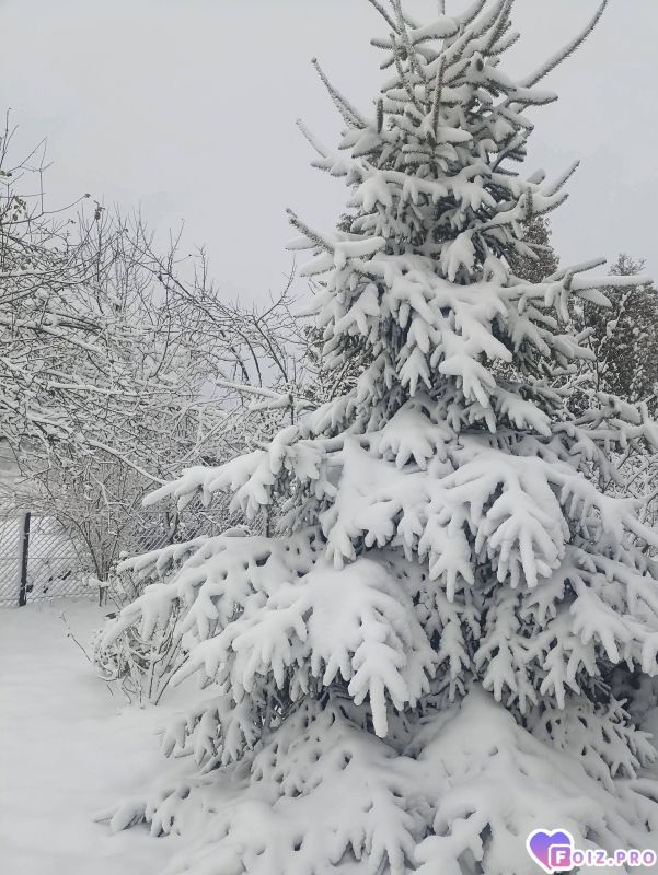 Ну как же без нее