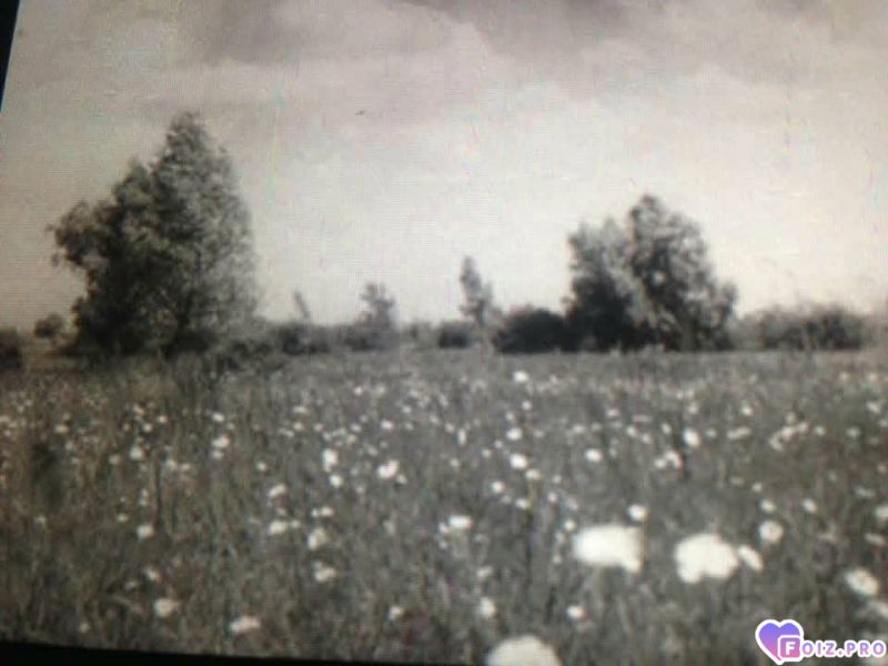 Не поверите начало