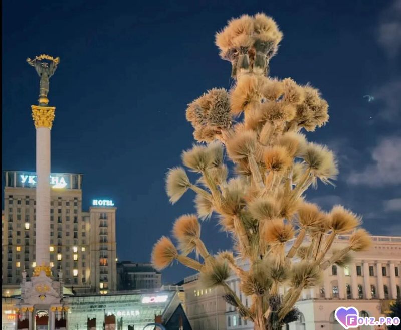 Вместо елочки