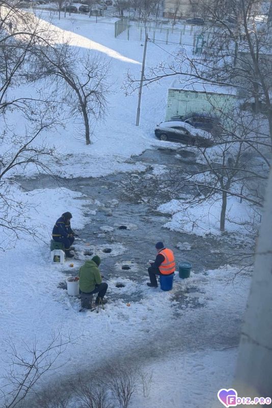 Пошел окунь