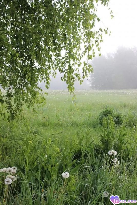 FB_IMG_1764952610844