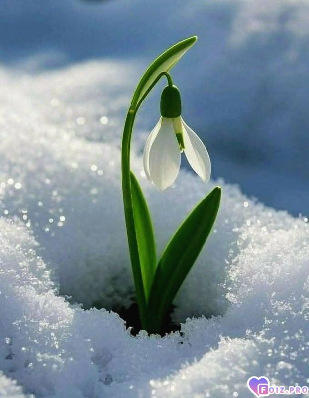 FB_IMG_1772363596103