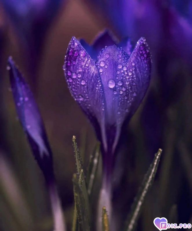 FB_IMG_1772140339816