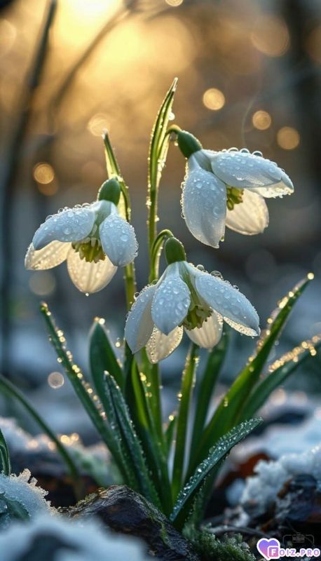 FB_IMG_1772010297127