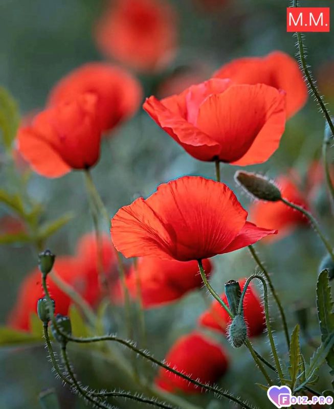 FB_IMG_1772009078308