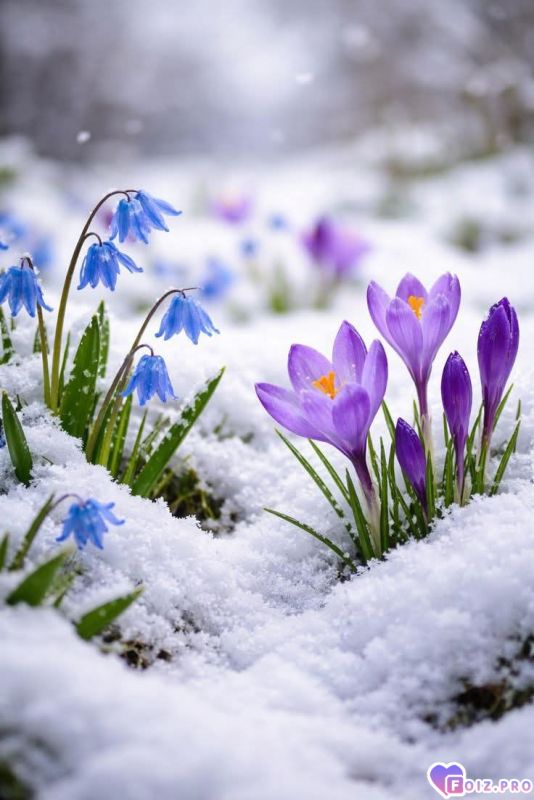 FB_IMG_1772008972185