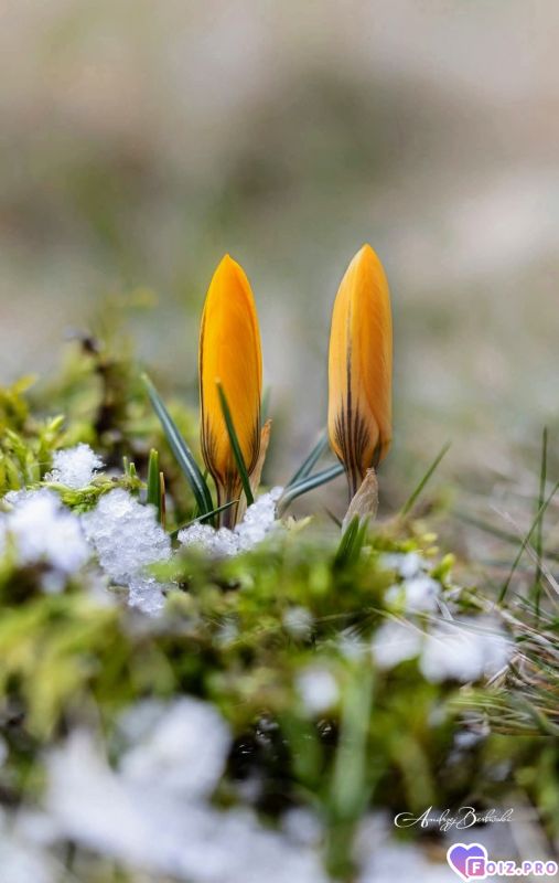 FB_IMG_1772008763462