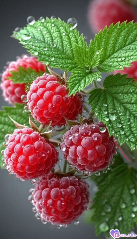 FB_IMG_1772008680302