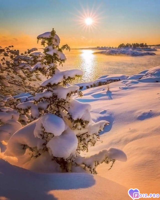 FB_IMG_1767504708685