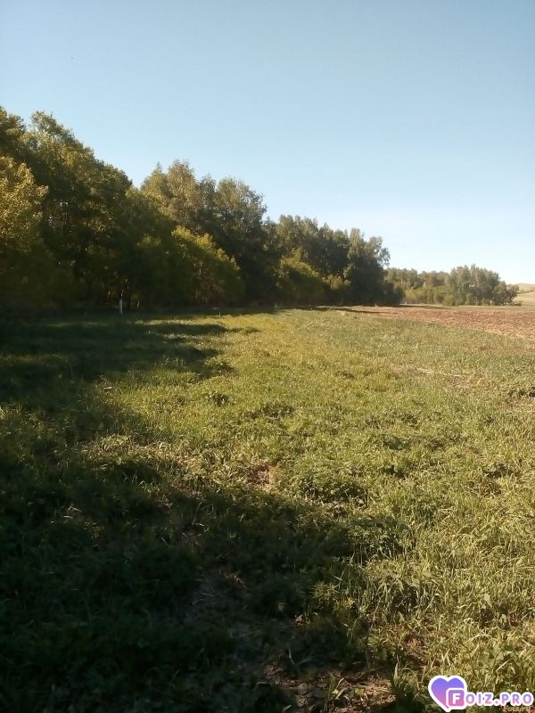 Наша природа