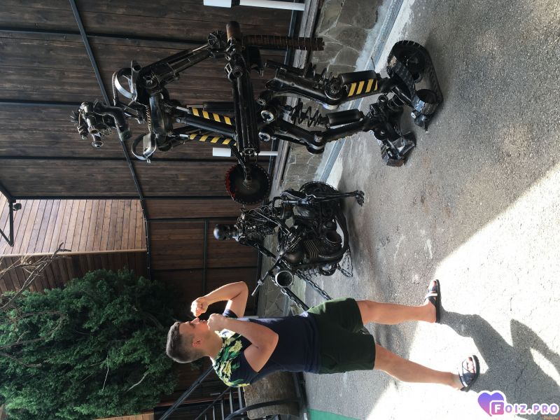 11891841190574221387