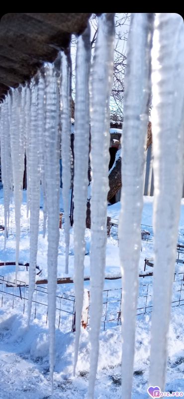 Серебряные струны