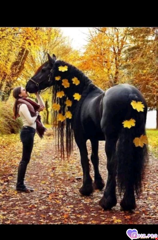 FB_IMG_15780738358269293