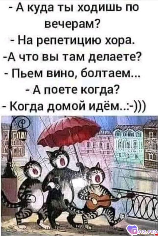 FB_IMG_15995050101251662