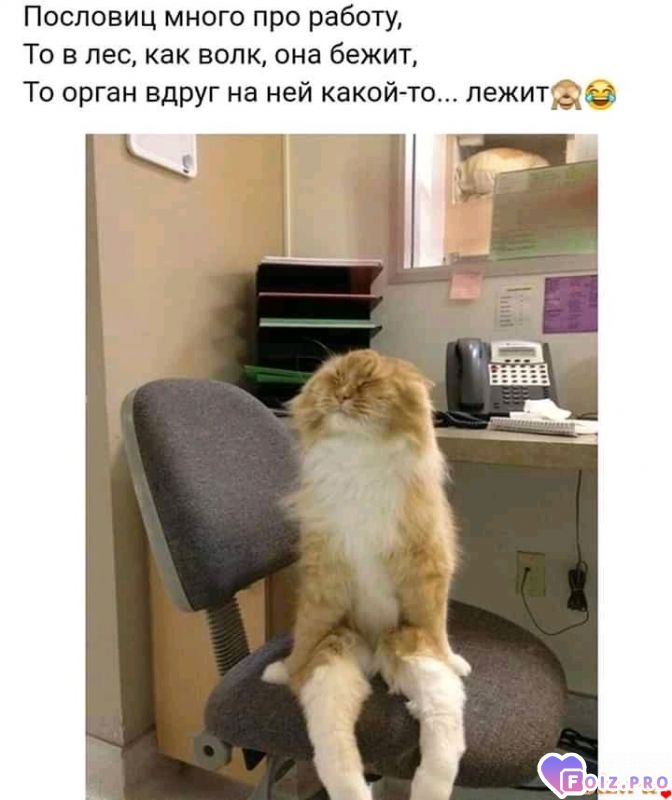 FB_IMG_16107194515508217