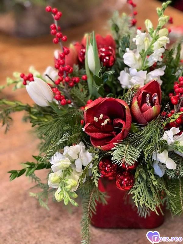 FB_IMG_1766765742593