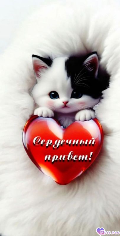 FB_IMG_1766765728803