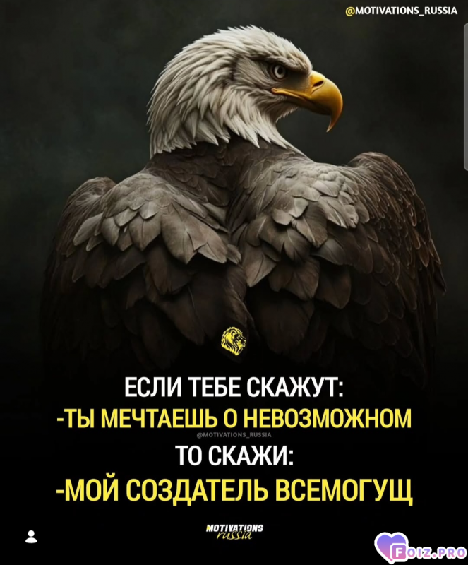 Мудрые слова