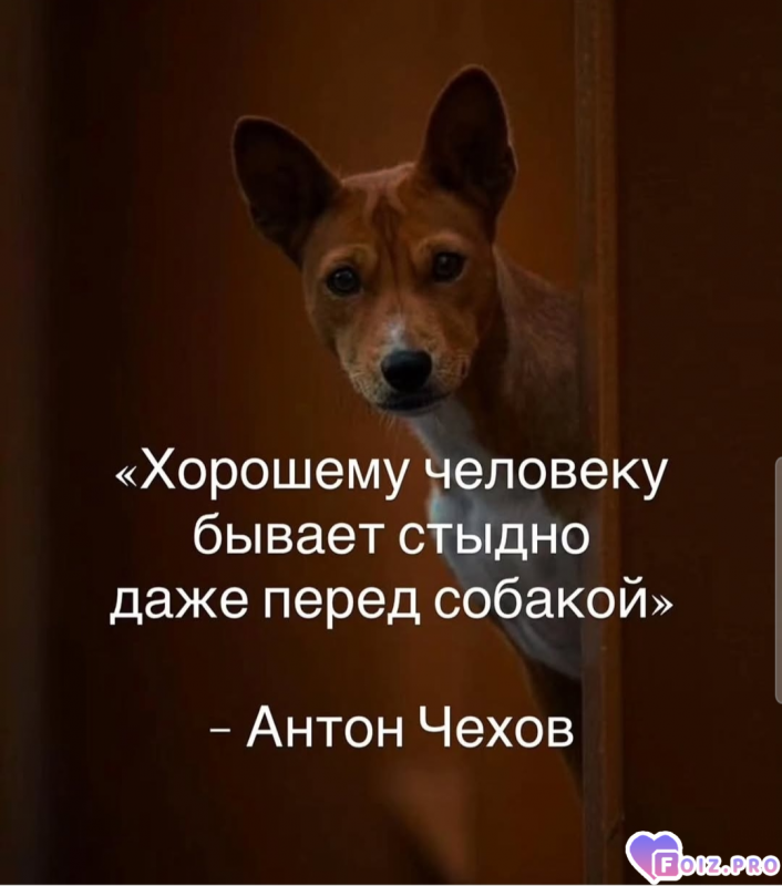 Атон