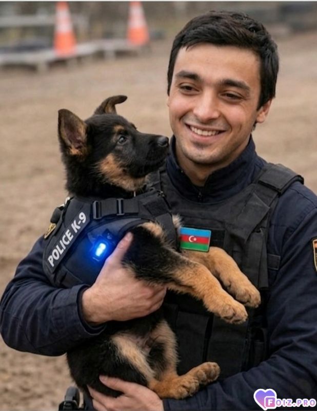 Я и маленький комиссар рекс