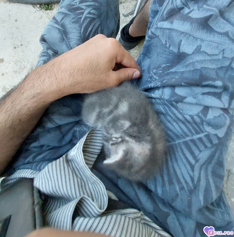 Мой милашка