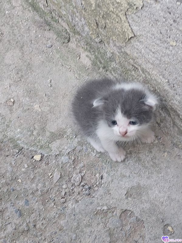 Красивые глазастые