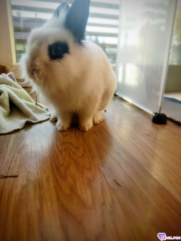 IMG_20251216_0913202