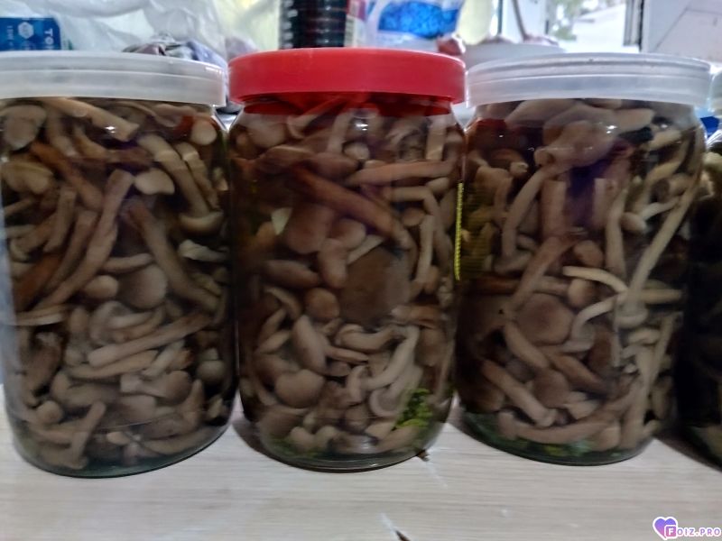 Новый урожай
