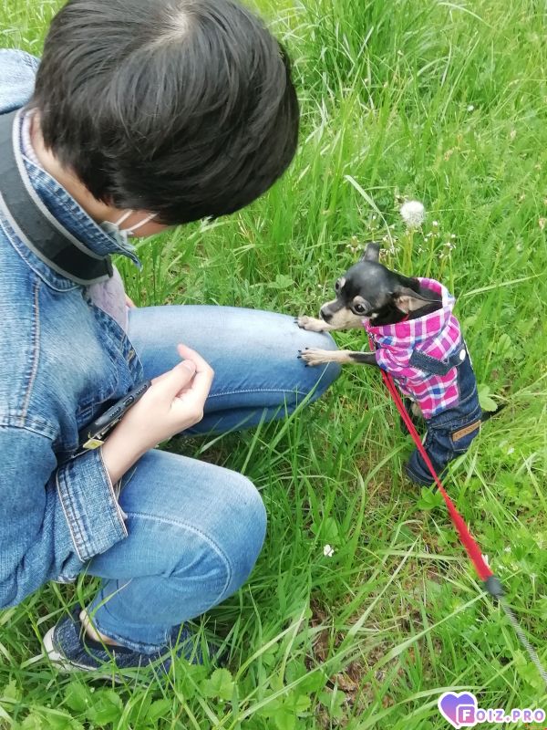 Мои любимые