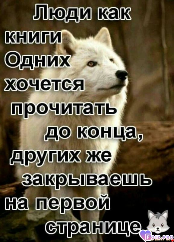 FB_IMG_15922575766791359