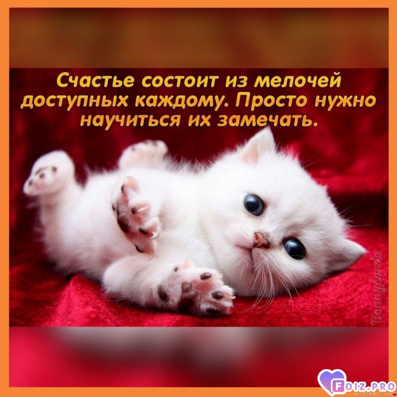 IMG_20201006_143119_631