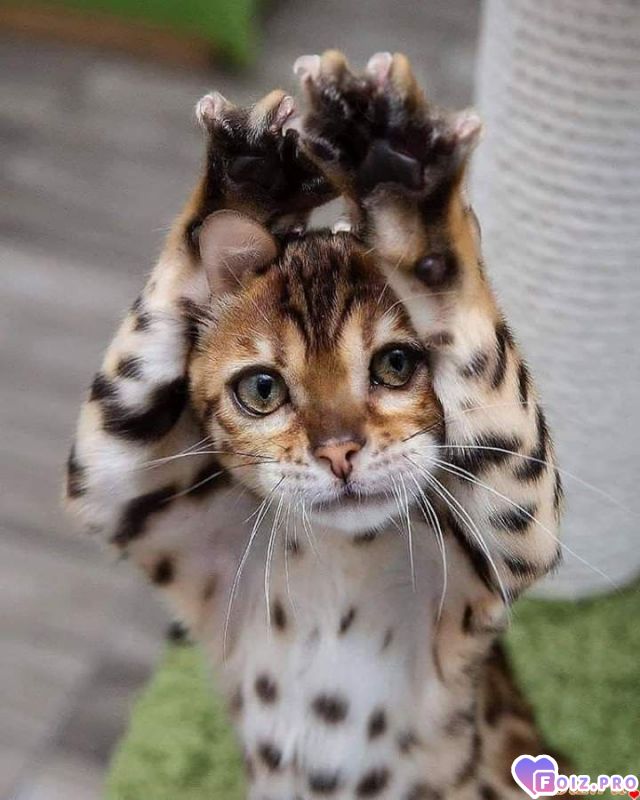 FB_IMG_1591972207464