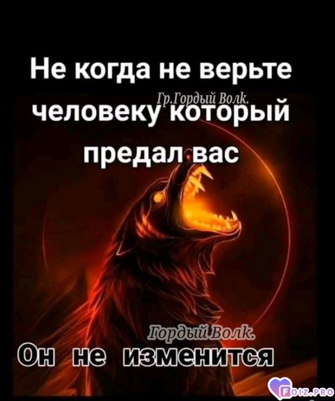 63d69758c56487aa5c7f75f2b948810e