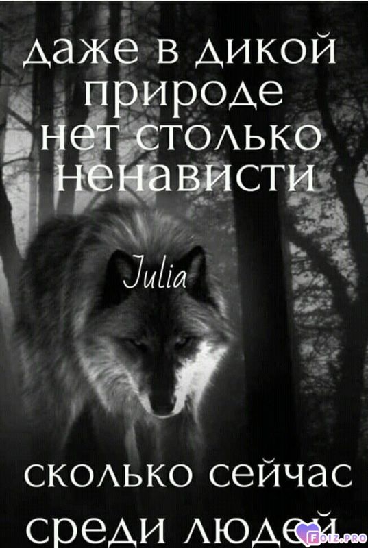 584bba5664cc809afab0892ca79b30d2