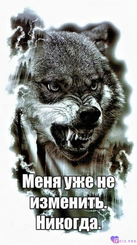 8294014fe52de4e3dd4ec08cde493c77