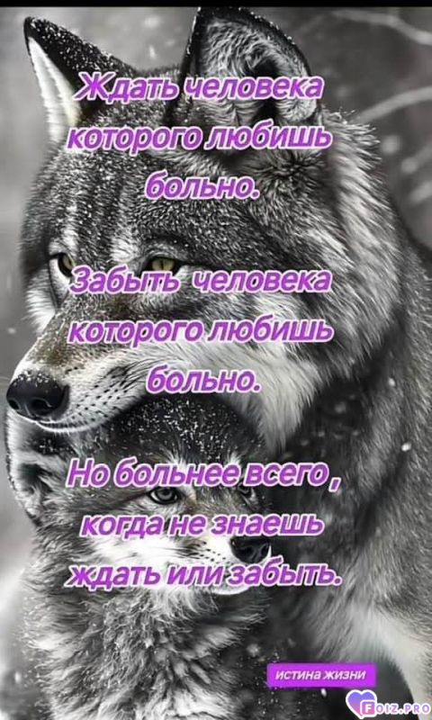 7db0444f17a23568386a14cd3f6bc909