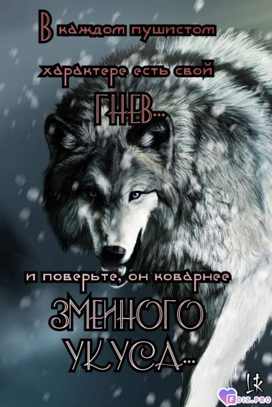 02c7e2741183fa6f094b38955983b7f6